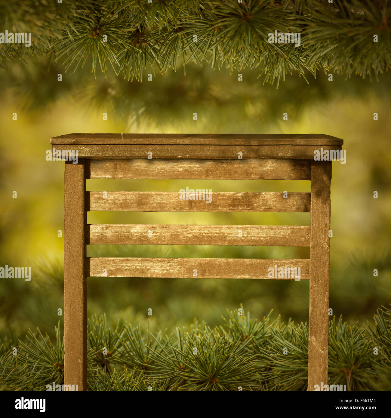 La pancarte dans le pin vert Banque D'Images