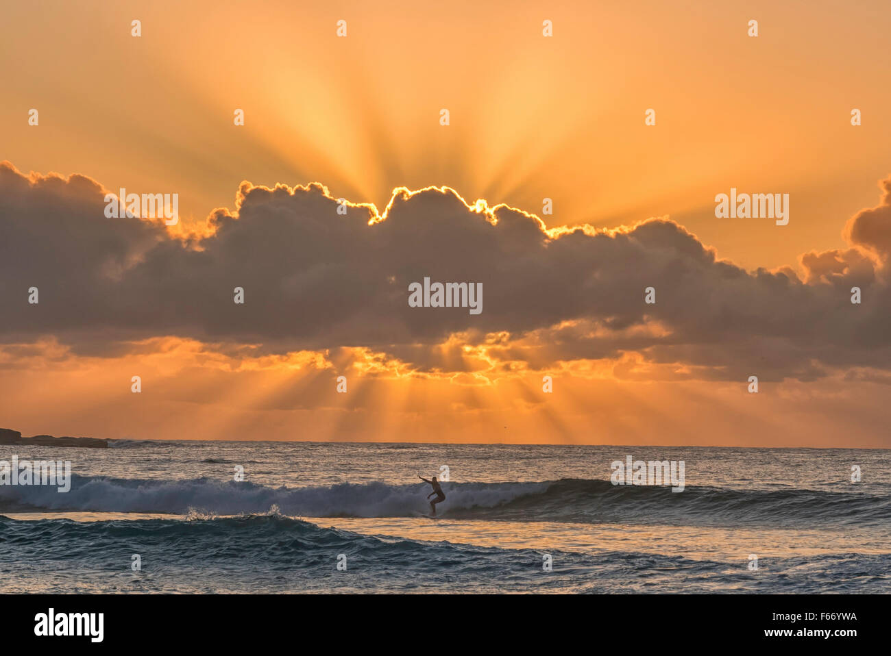 Le surf sur la plage de Bondi Sydney pendant un beau lever de soleil. Banque D'Images