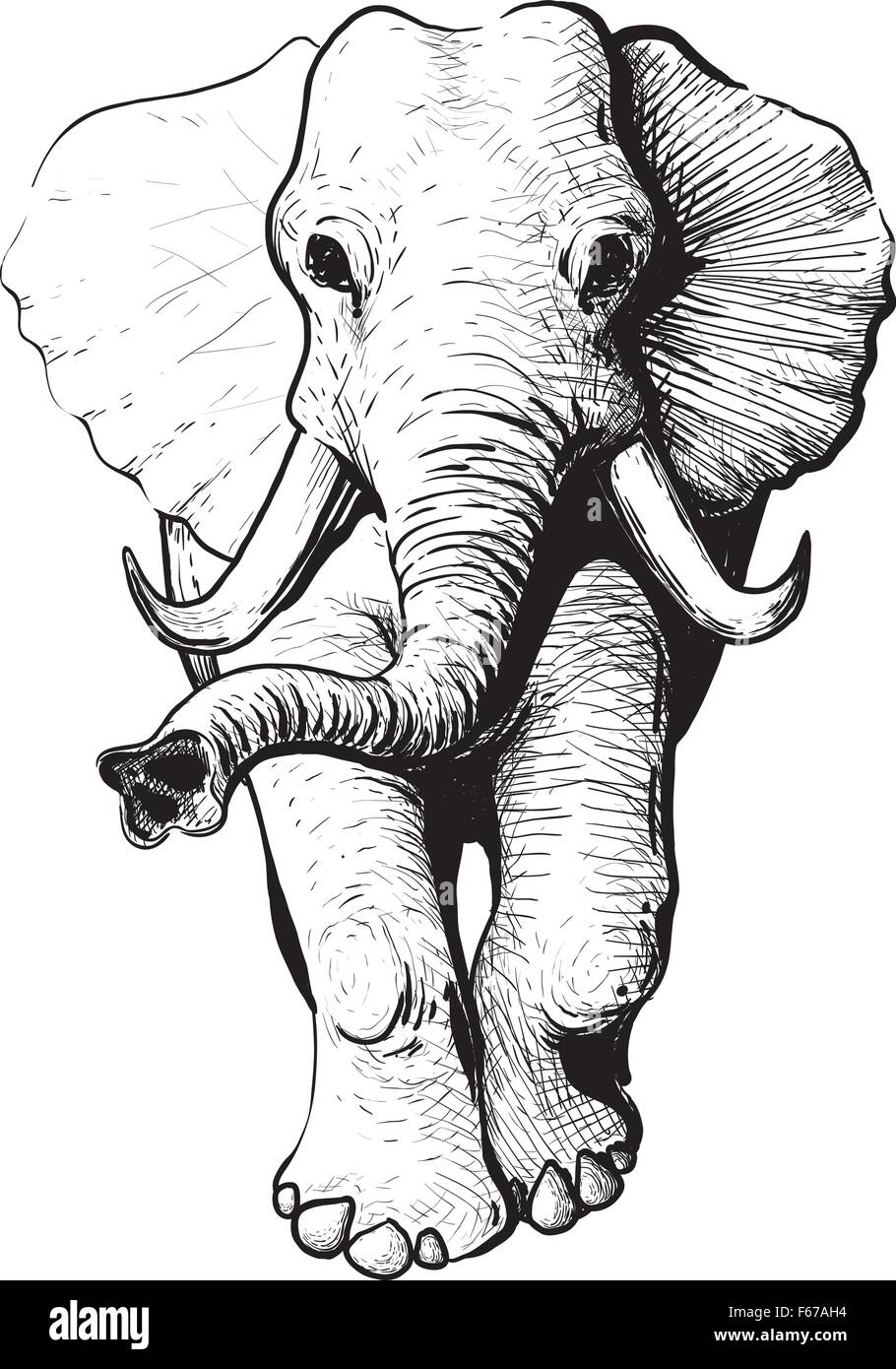 Vue de face de l'éléphant Illustration de Vecteur