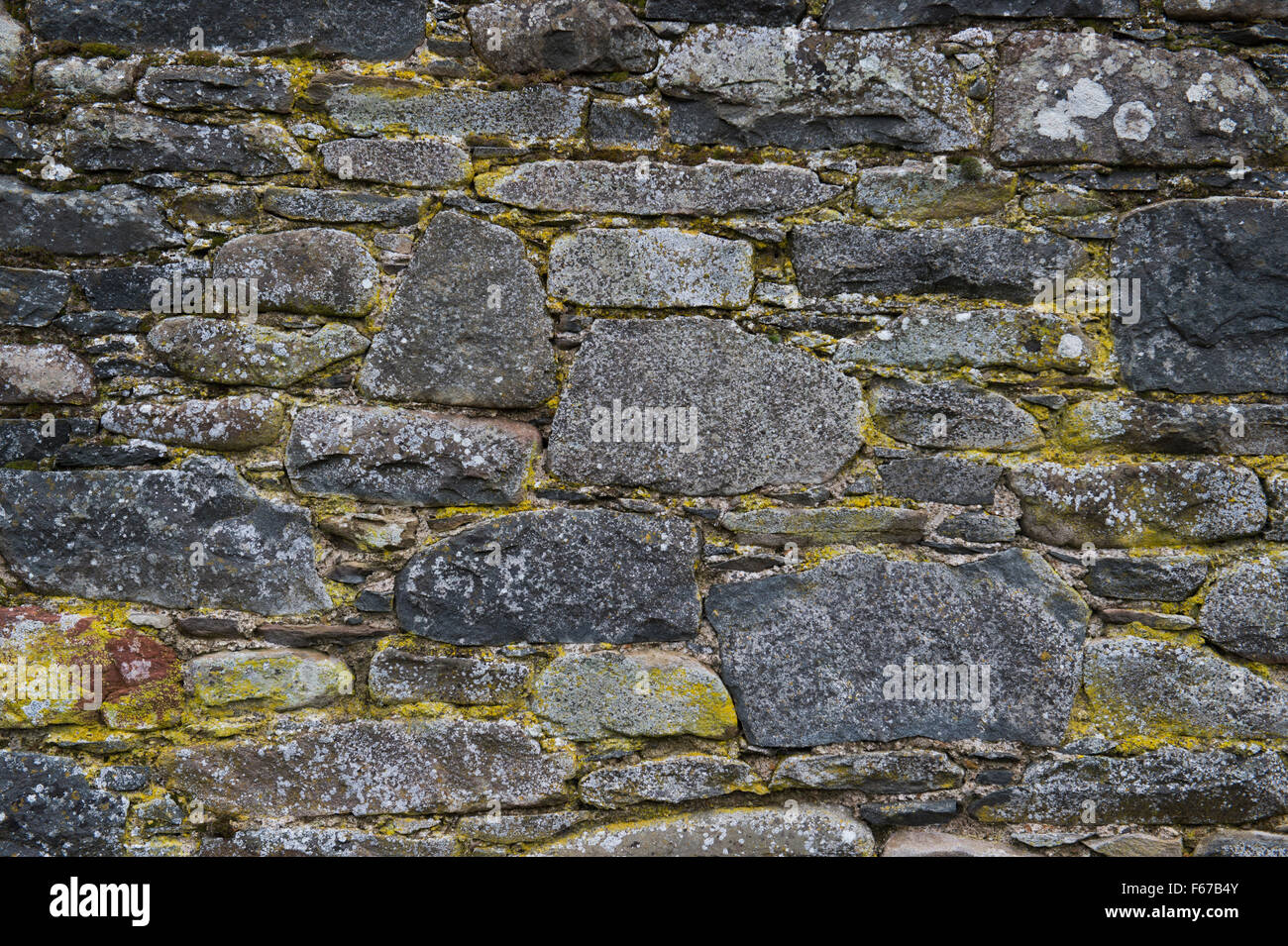 Mur de pierre modèle écossais. L'Ecosse Banque D'Images