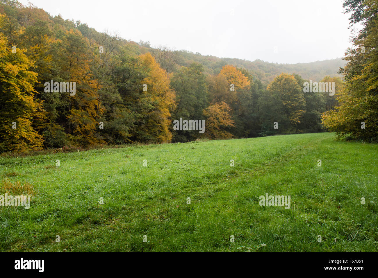 L'automne dans les Ardennes, en Belgique. Banque D'Images