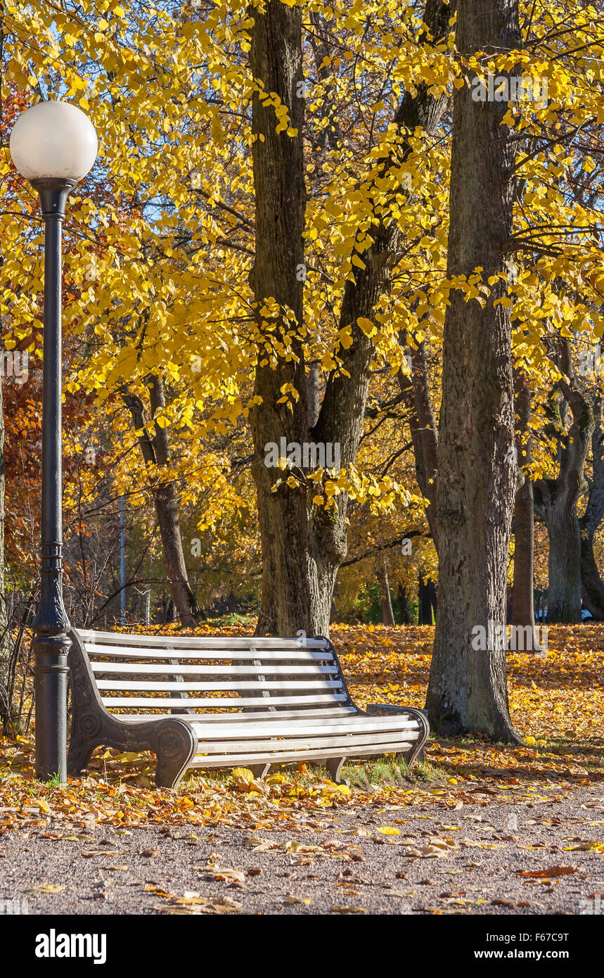 Lanterne et banc dans le parc en automne Banque D'Images