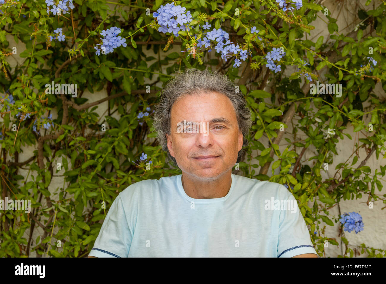 Homme d'âge moyen en t-shirt assis en face d'un Plumbago capensis Plante Banque D'Images