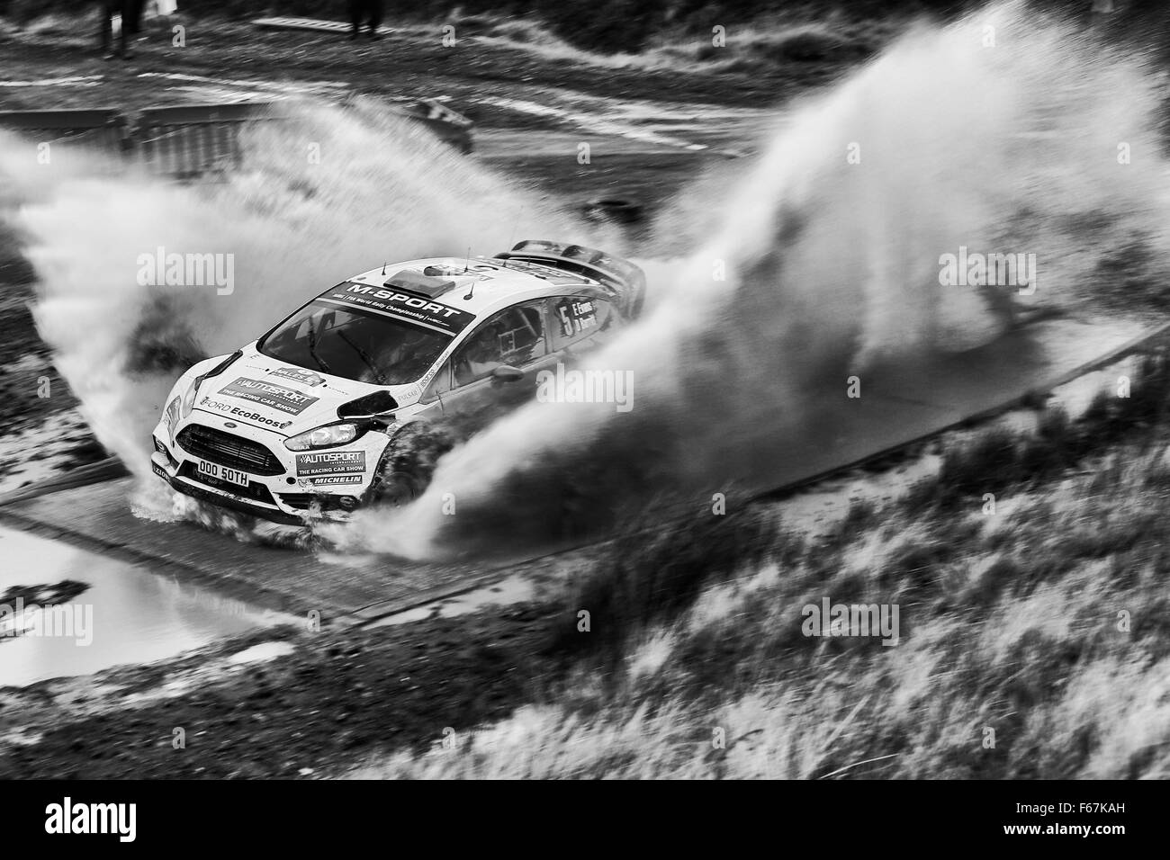 Pour Myherlin Hafren, Pays de Galles, Royaume-Uni. 13 novembre, 2015. Rallye WRC de Grande-Bretagne commence avec des étapes 1 à 6. Elfyn Evans (GB)- Daniel Barrit (GB)- Ford Fiesta WRC : Action Crédit Plus Sport Images/Alamy Live News Banque D'Images