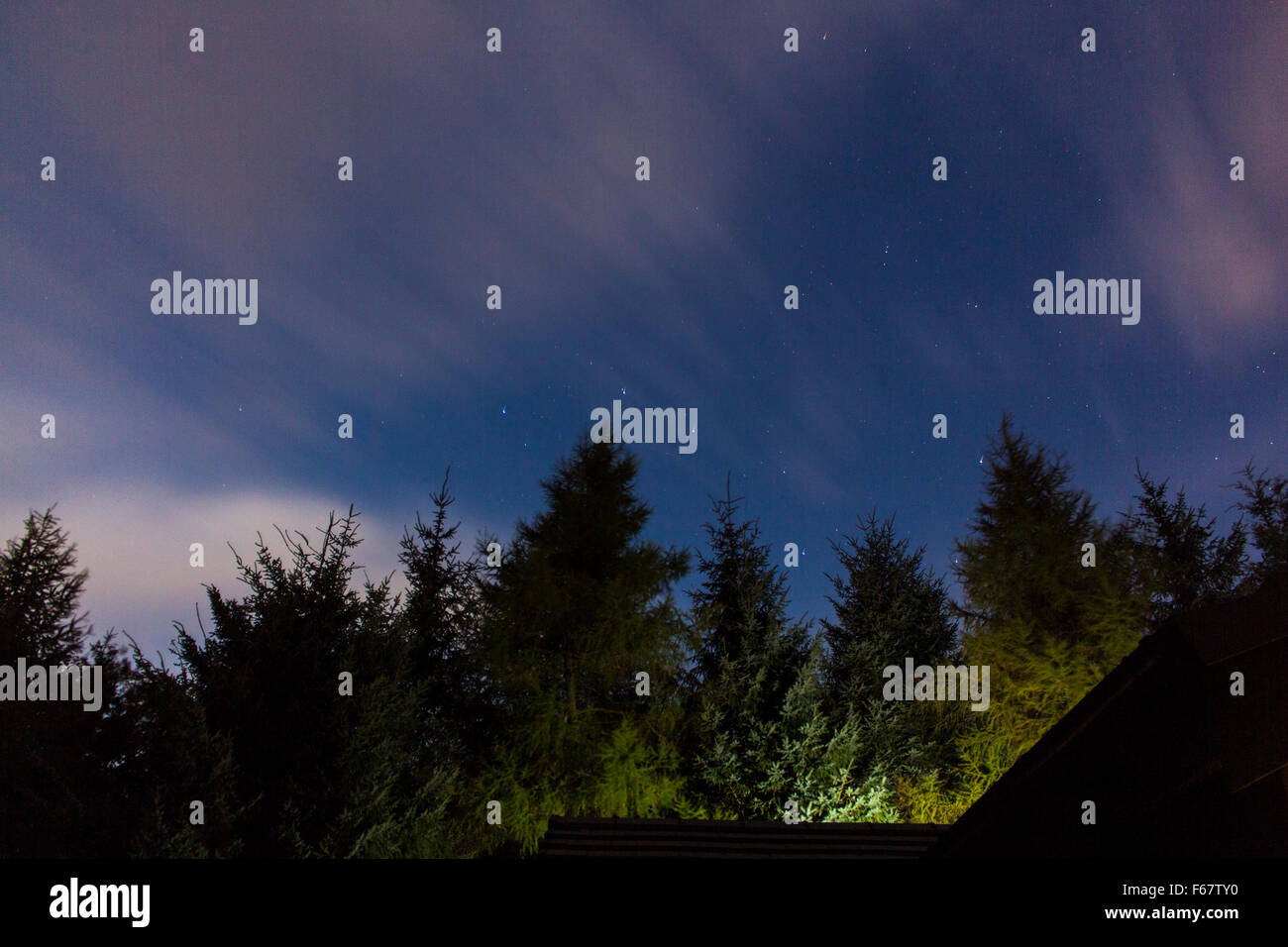 Une longue exposition d'un ciel nocturne de la forêt de l'Écosse avec le déplacement des nuages et des étoiles. Banque D'Images