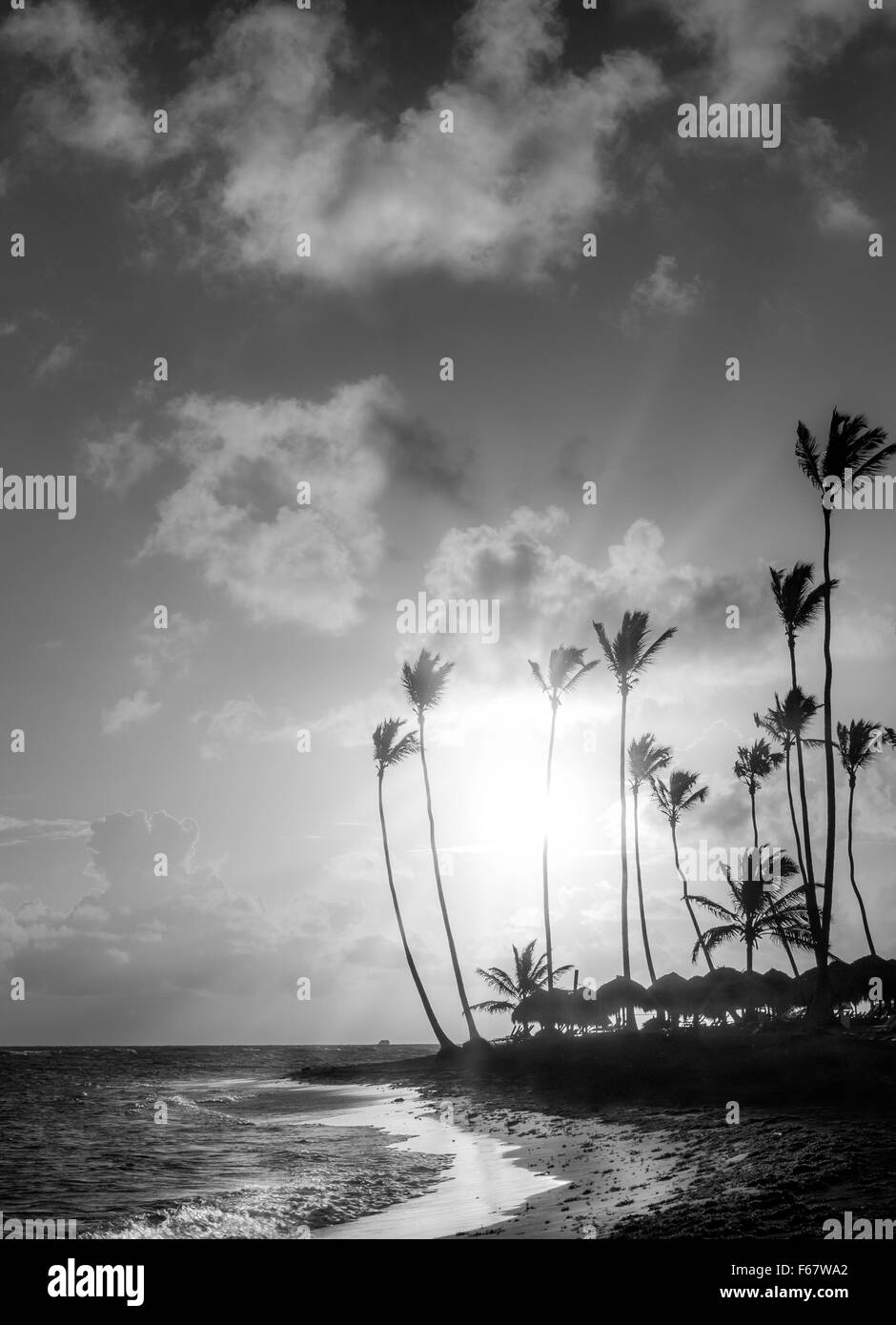 Le lever du soleil sur la mer des Caraïbes et le leaning palmiers en République Dominicaine Banque D'Images