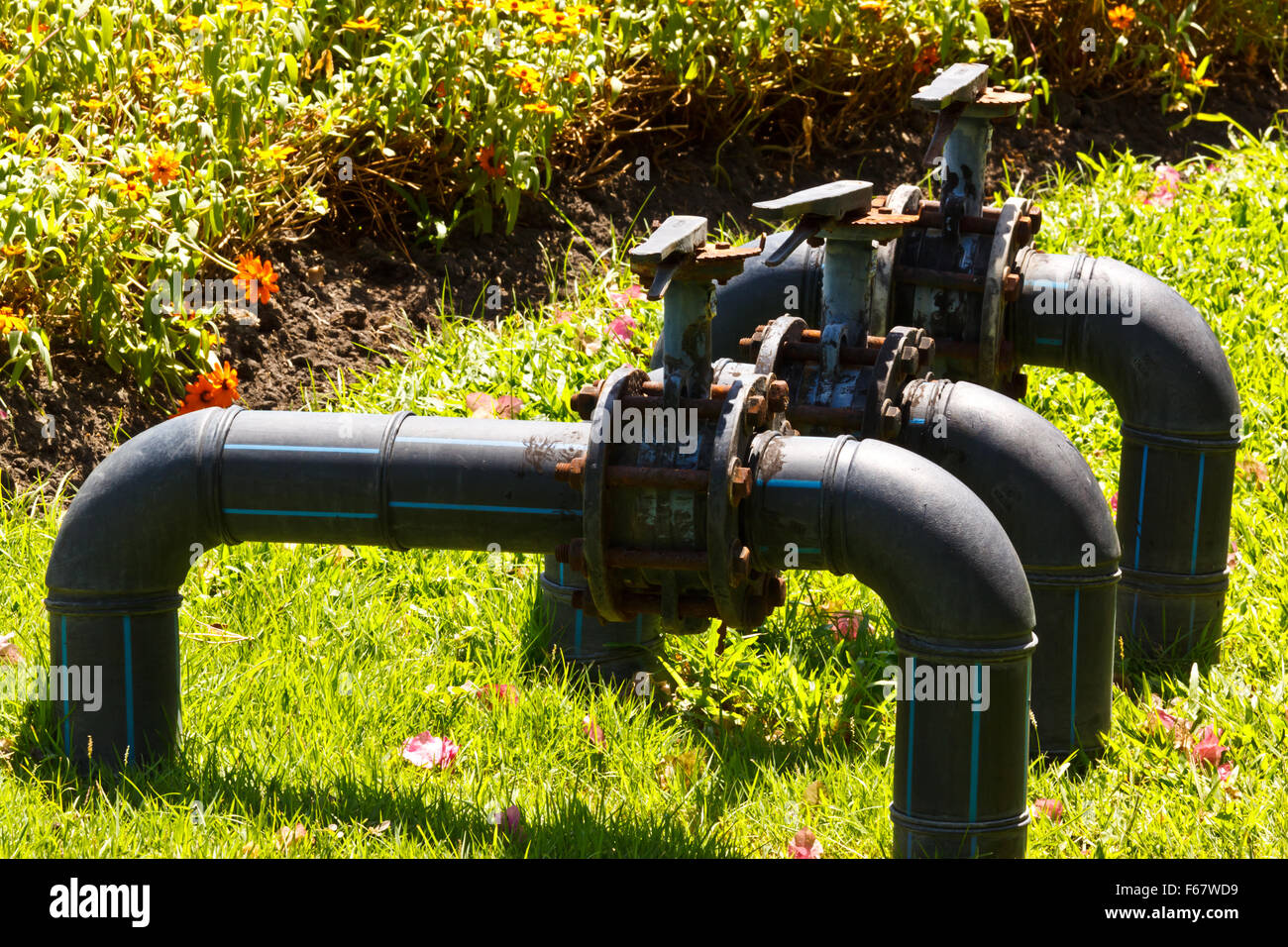 La pompe à eau au jardin Banque D'Images