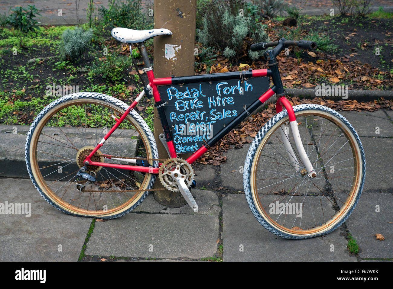 Publicité location fixé sur un lampadaire la publicité d'un atelier de réparation de vélos locaux à Édimbourg, Écosse, Royaume-Uni. Banque D'Images
