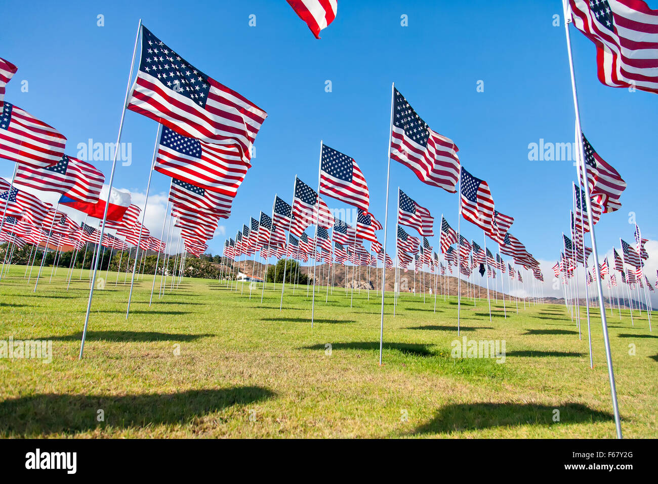 L'affichage des drapeaux américains sur Memorial Day Banque D'Images