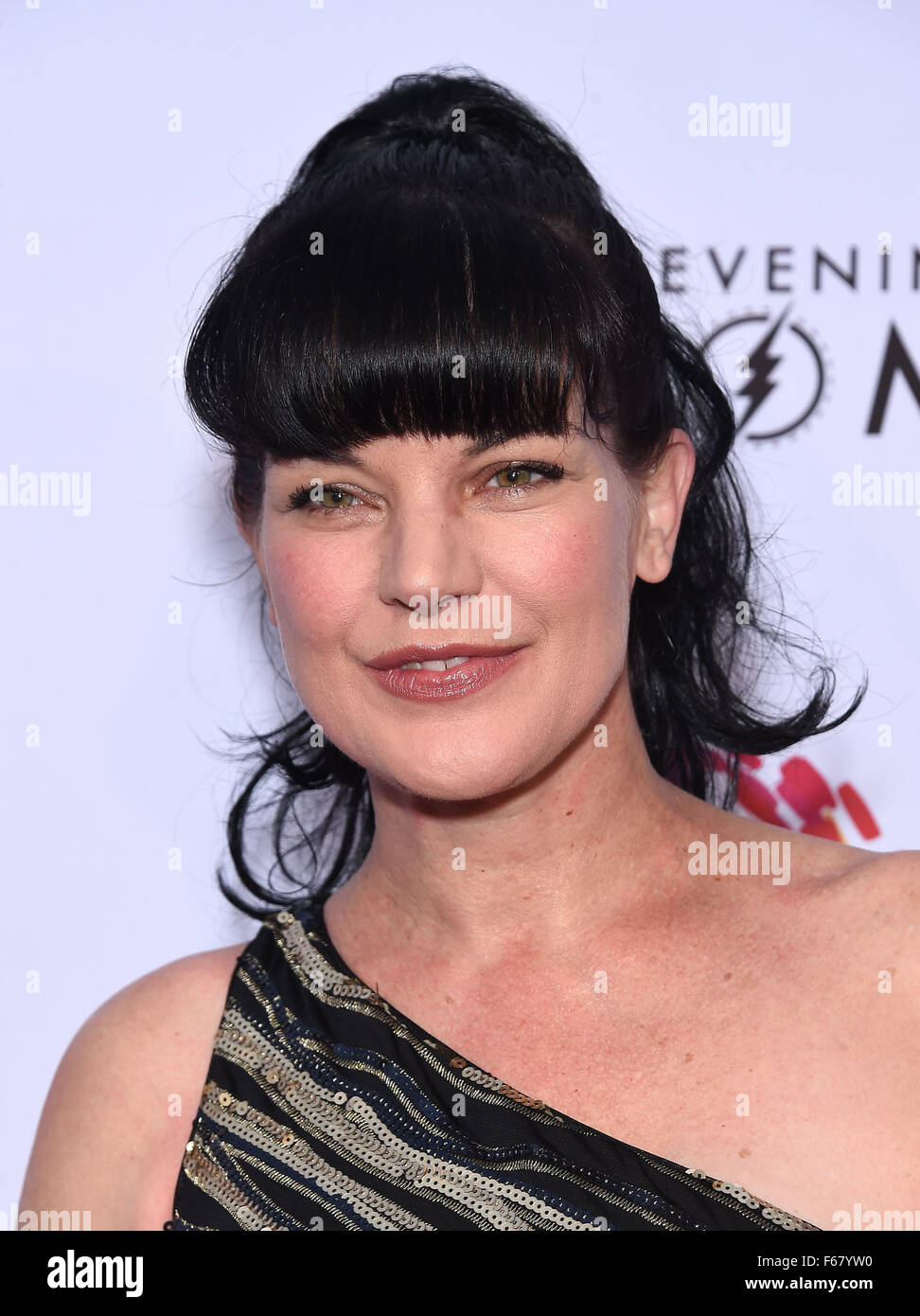 Word honour. pauley perrette abby sciuto Pauley perrette abby sciuto think