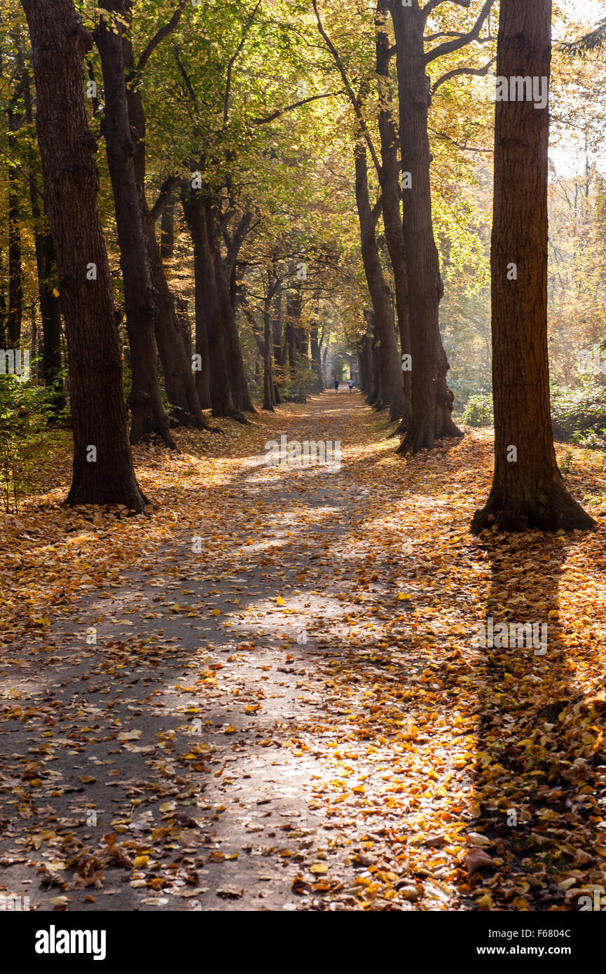 Belgique, Anvers, Midellheimpark en automne - automne Banque D'Images