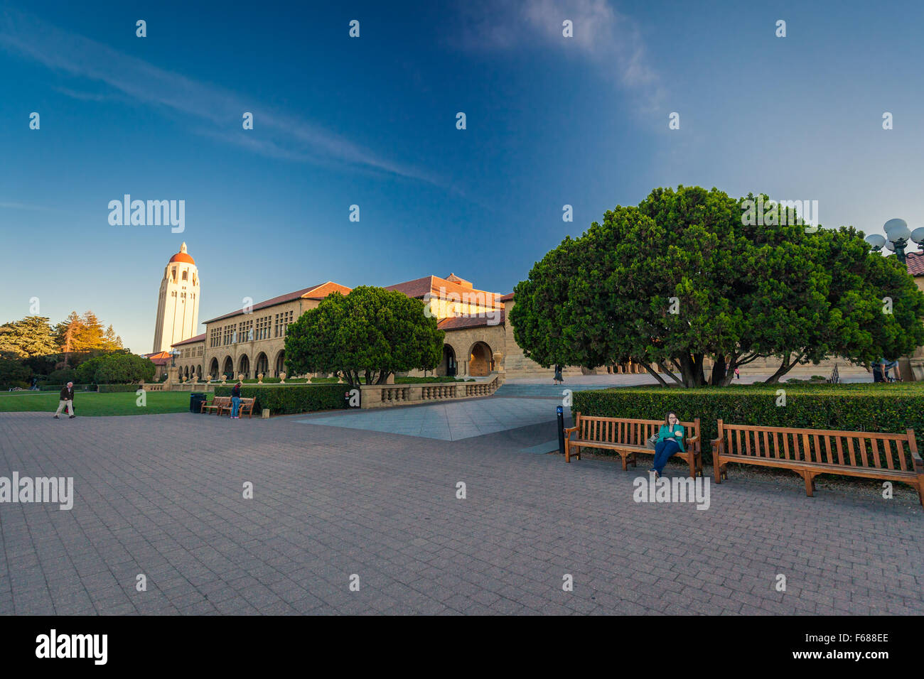 PALO ALTO, USA - 22 OCT 2014 : l'Université de Stanford et le parc. L'Université de Stanford est un des leaders mondiaux de la recherche et de l'enseignement Banque D'Images