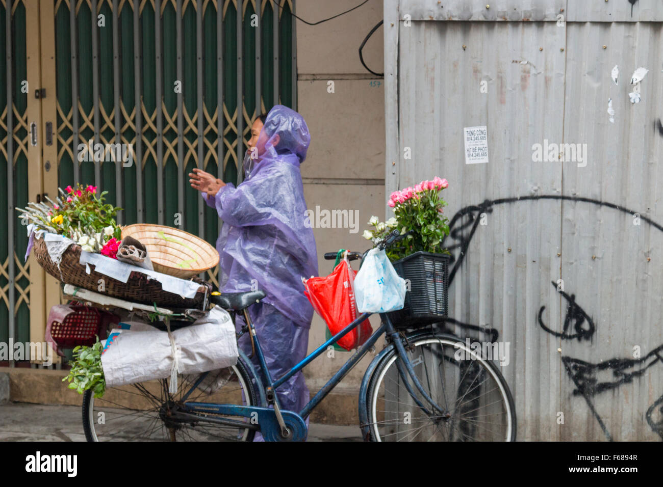Dame vietnamienne dans le plastique vend mac fleurs sur la face de son vélo dans la région de vieux quartier de Hanoi, Vietnam Banque D'Images