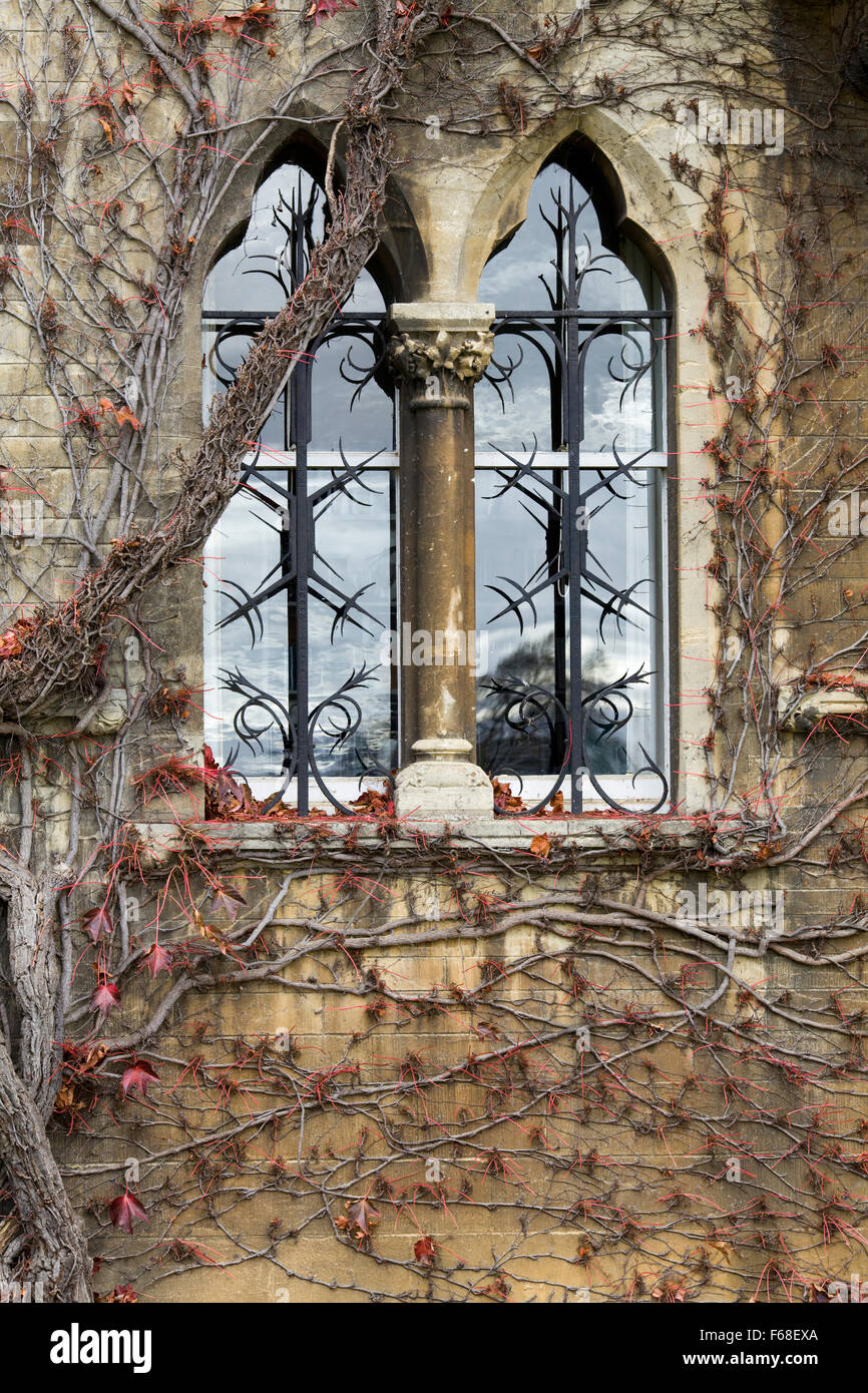 Lierre grimpant à l'automne sur le pré, Christ Church, Oxford Banque D'Images