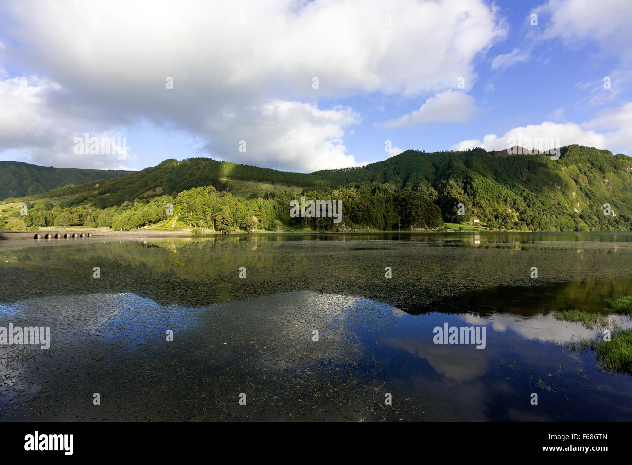 La réflexion des nuages sur Lagoa Verde. Sete Cidades, Ponta Delgada, São Miguel, Açores, Portugal Banque D'Images