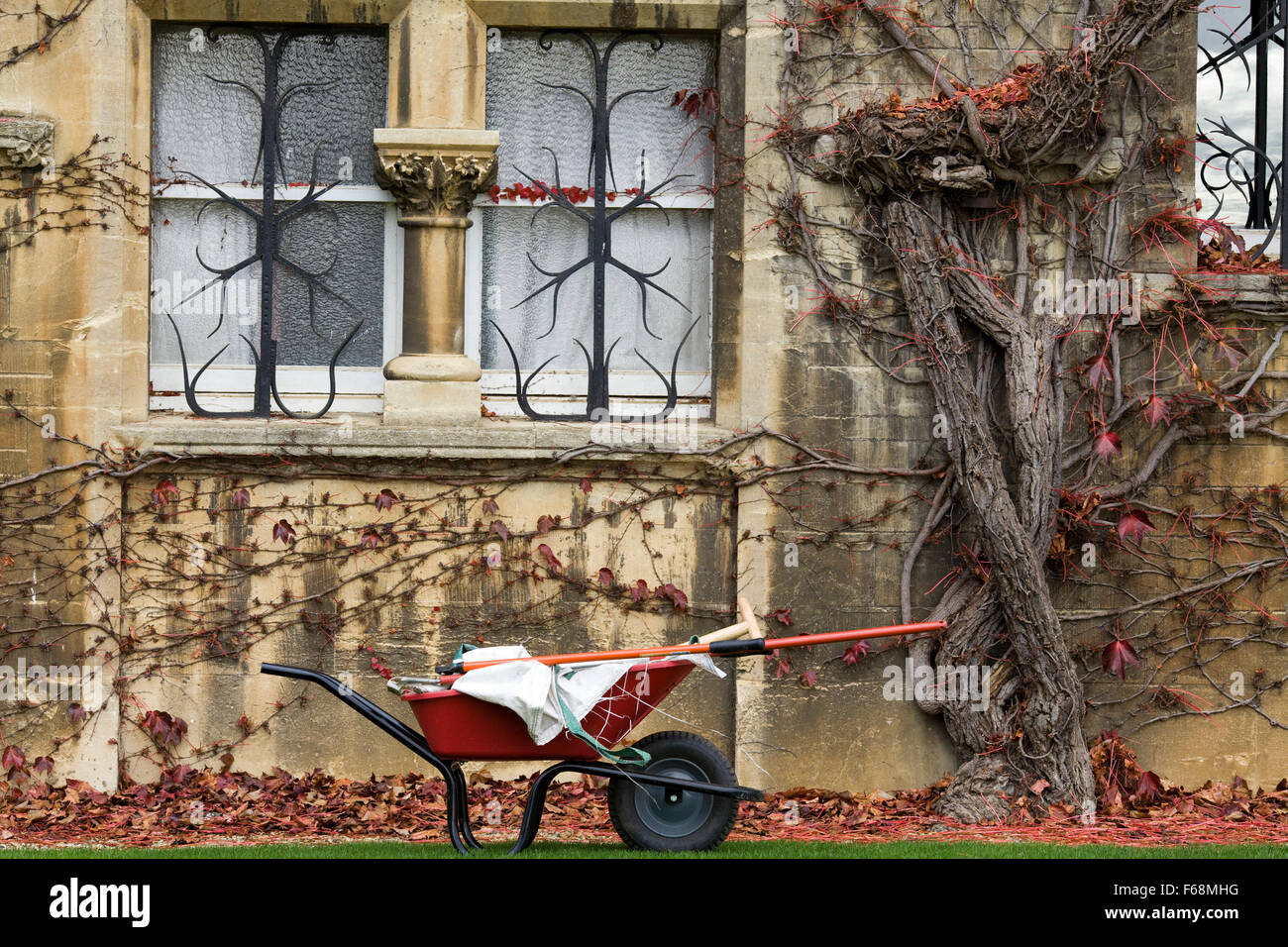 Brouette rouge par le lierre grimpant à l'automne sur le pré, Christ Church, Oxford Banque D'Images
