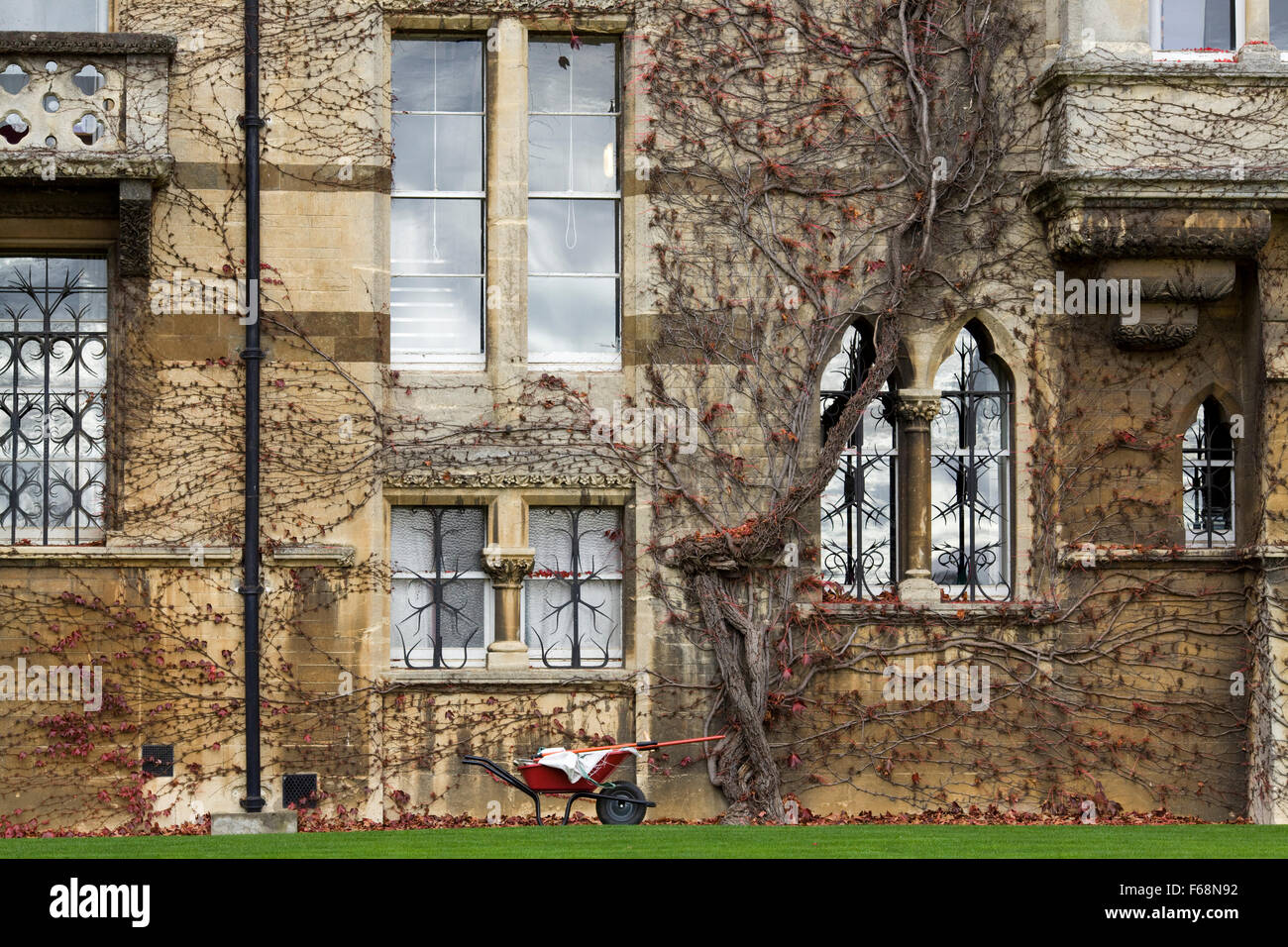 Brouette rouge par le lierre grimpant à l'automne sur le pré, Christ Church, Oxford Banque D'Images