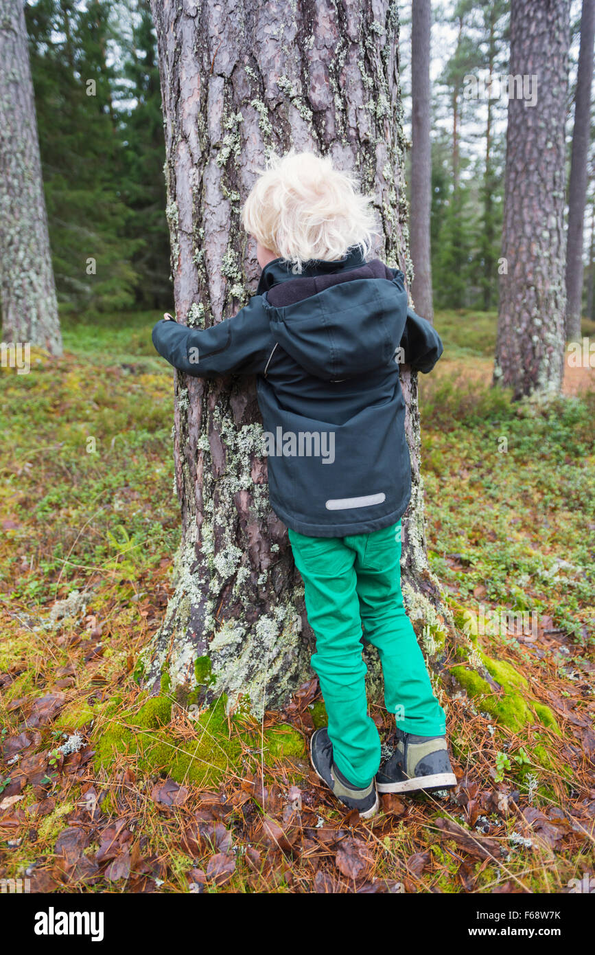 Young boy hugging a tree Banque D'Images