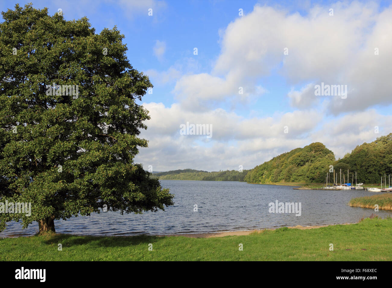 Knudso Lake près de Silkeborg, Danemark, Midtjylland Banque D'Images