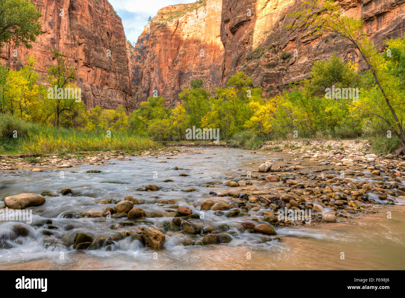 Pierres de rivière dans la rivière vierge avec la couleur en automne dans la région de Zion Canyon Zion National Park, Utah. Banque D'Images