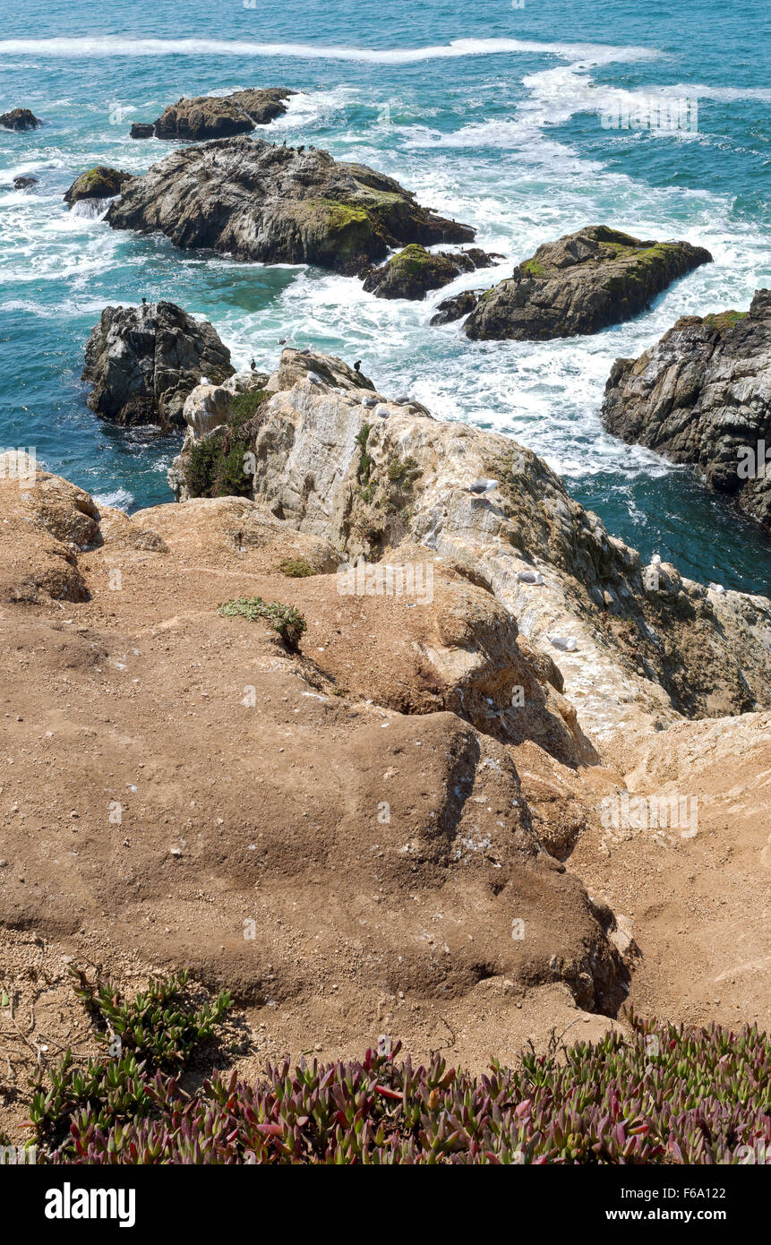 Bodega head falaises et affleurement rocheux le long de la côte pacifique de Sonoma Coast State Park en Californie Banque D'Images