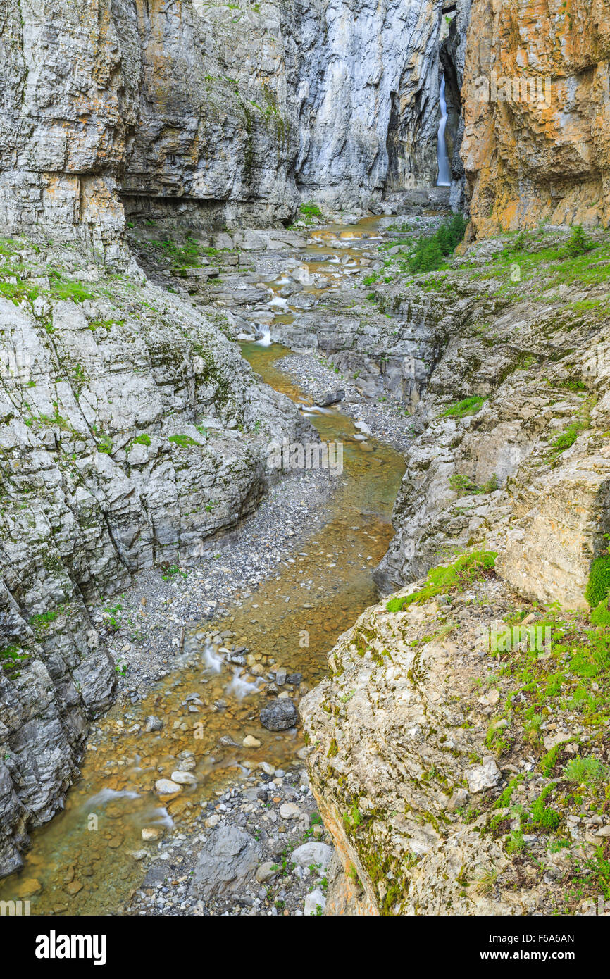 Muddy Creek Canyon et tombe le long de la rocky mountain/près de bynum, Montana Banque D'Images