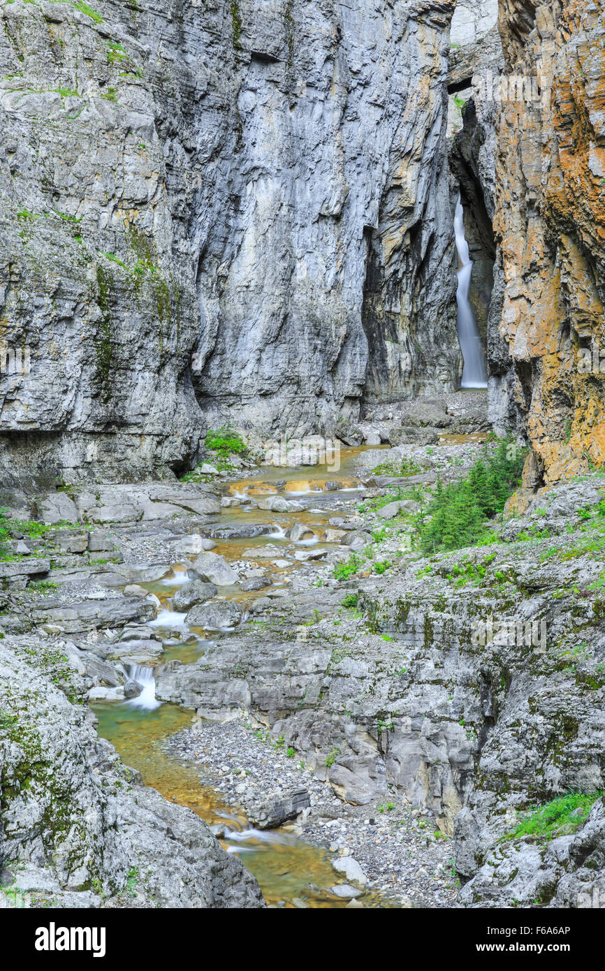 Muddy Creek Canyon et tombe le long de la rocky mountain/près de bynum, Montana Banque D'Images