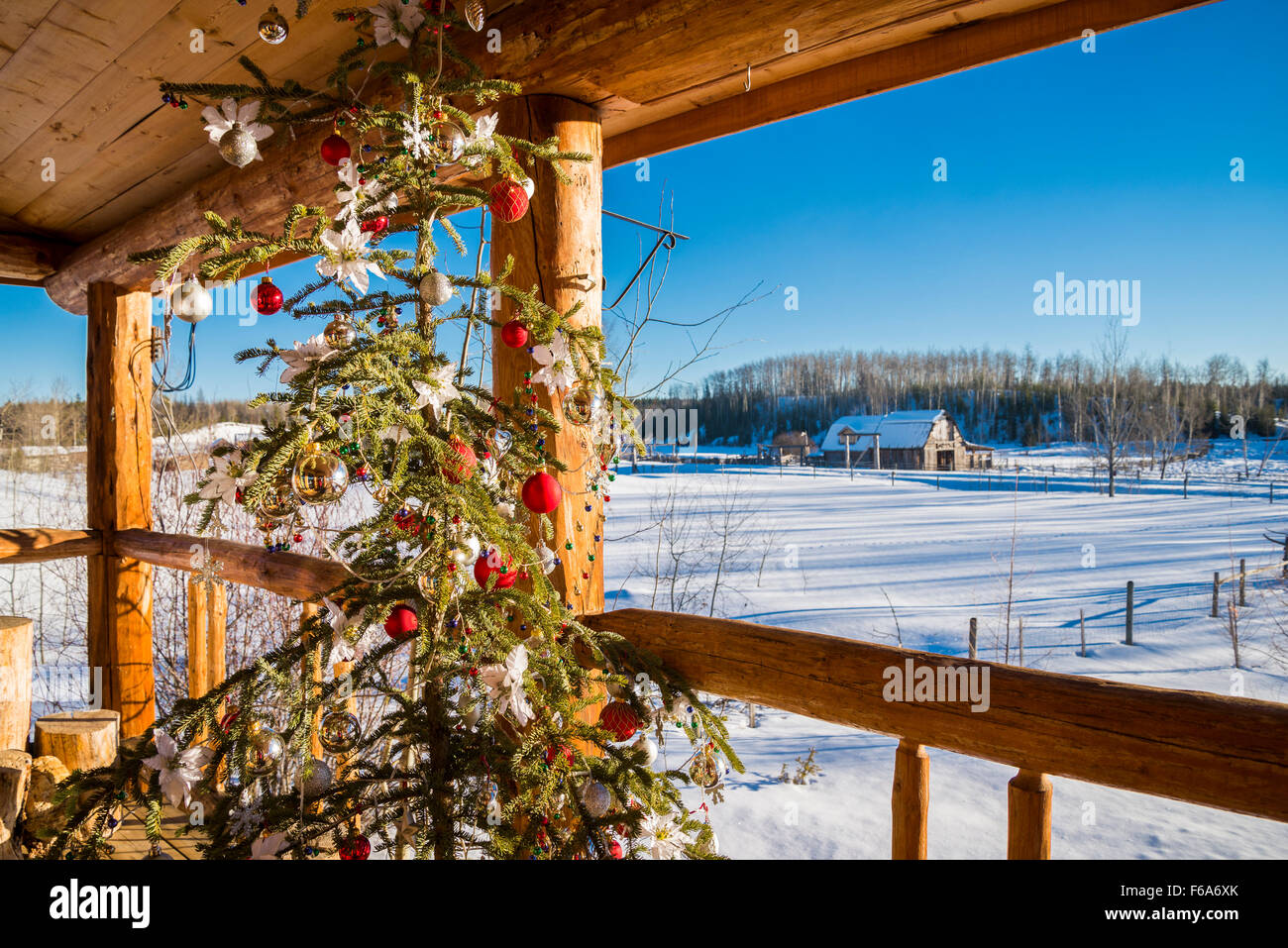 Arbre de Noël sur log house porche, région de Cariboo, en Colombie-Britannique, Canada Banque D'Images