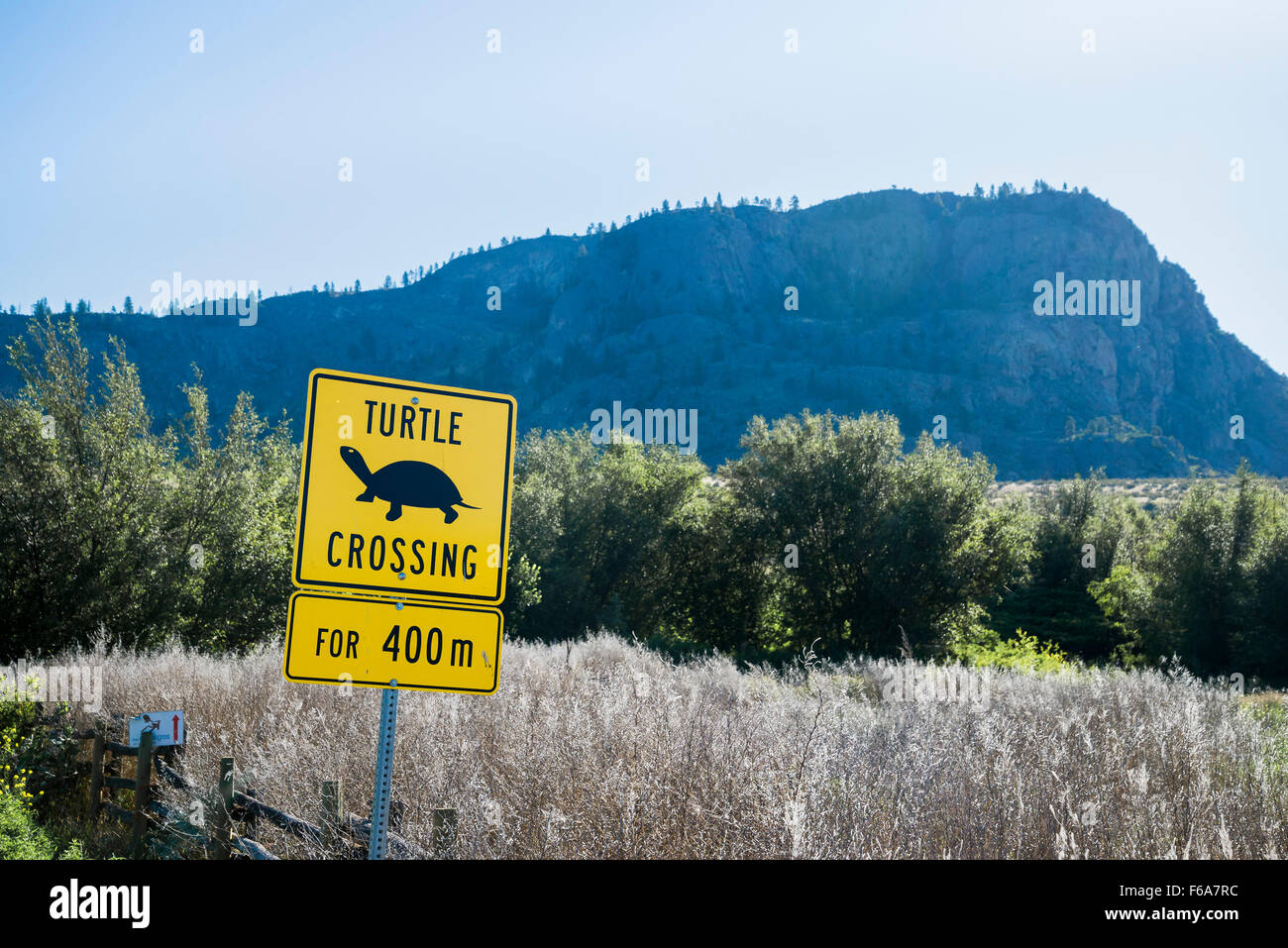 Turtle crossing sign, Osoyoos Oxbows, Okanagan Valley, British Columbia, Canada Banque D'Images