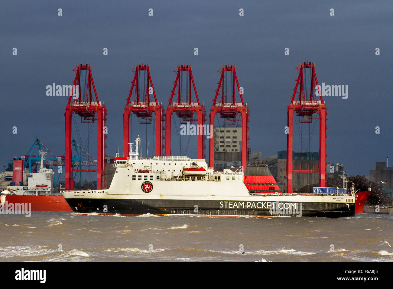 Grues à portique sur rail (CRMG) opérationnelles ; New Brighton, Wallasey, Liverpool, Royaume-Uni 15 novembre, 2015. Météo Royaume-Uni. De forts vents du jour au lendemain ont frappé le nord-ouest de l'Angleterre avec des avertissements météorologiques en vigueur pour l'ensemble de Merseyside. Ben-my-Chree, l'île de Man Ferry et d'autres navires dans la rivière Mersey a dû supporter des mers turbulentes et des vents de force gale dans l'estuaire formant l'entrée de la mer d'Irlande. Banque D'Images