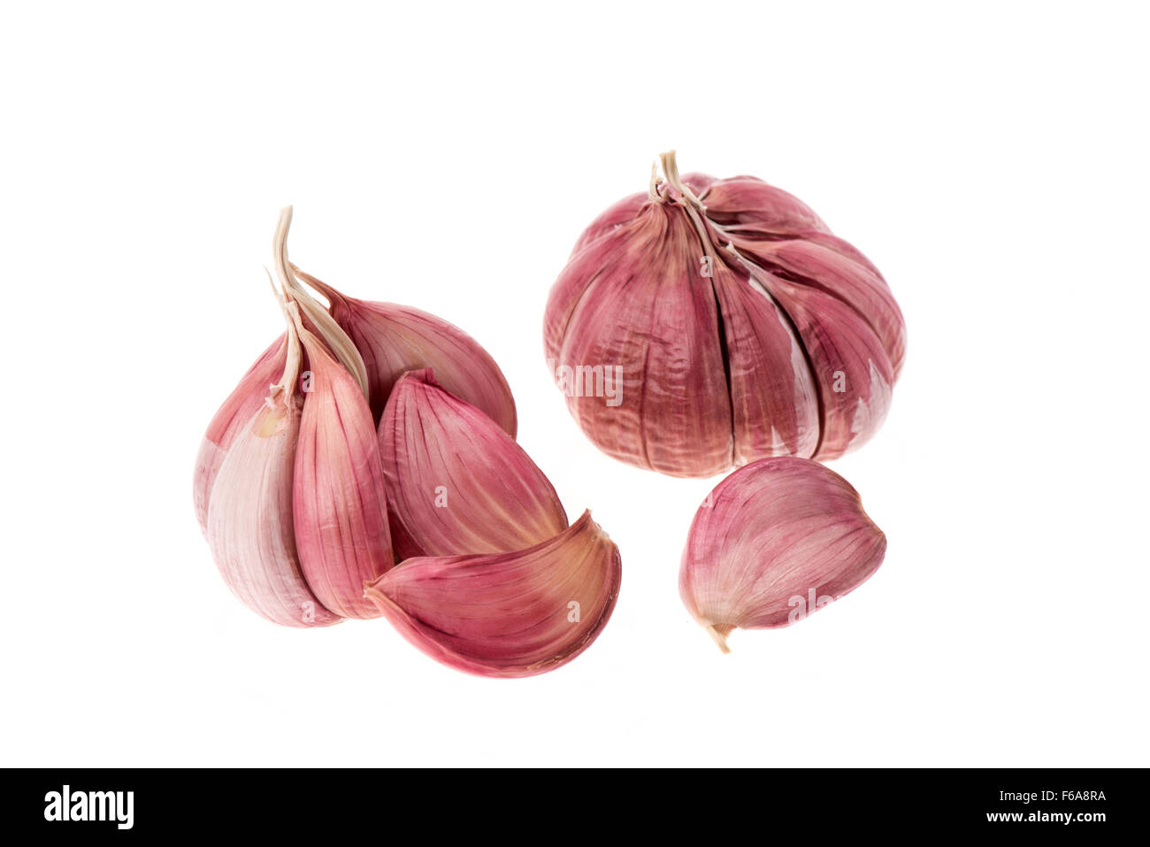 Gousses d'ail frais et bulbes - studio photo avec un fond blanc Banque D'Images