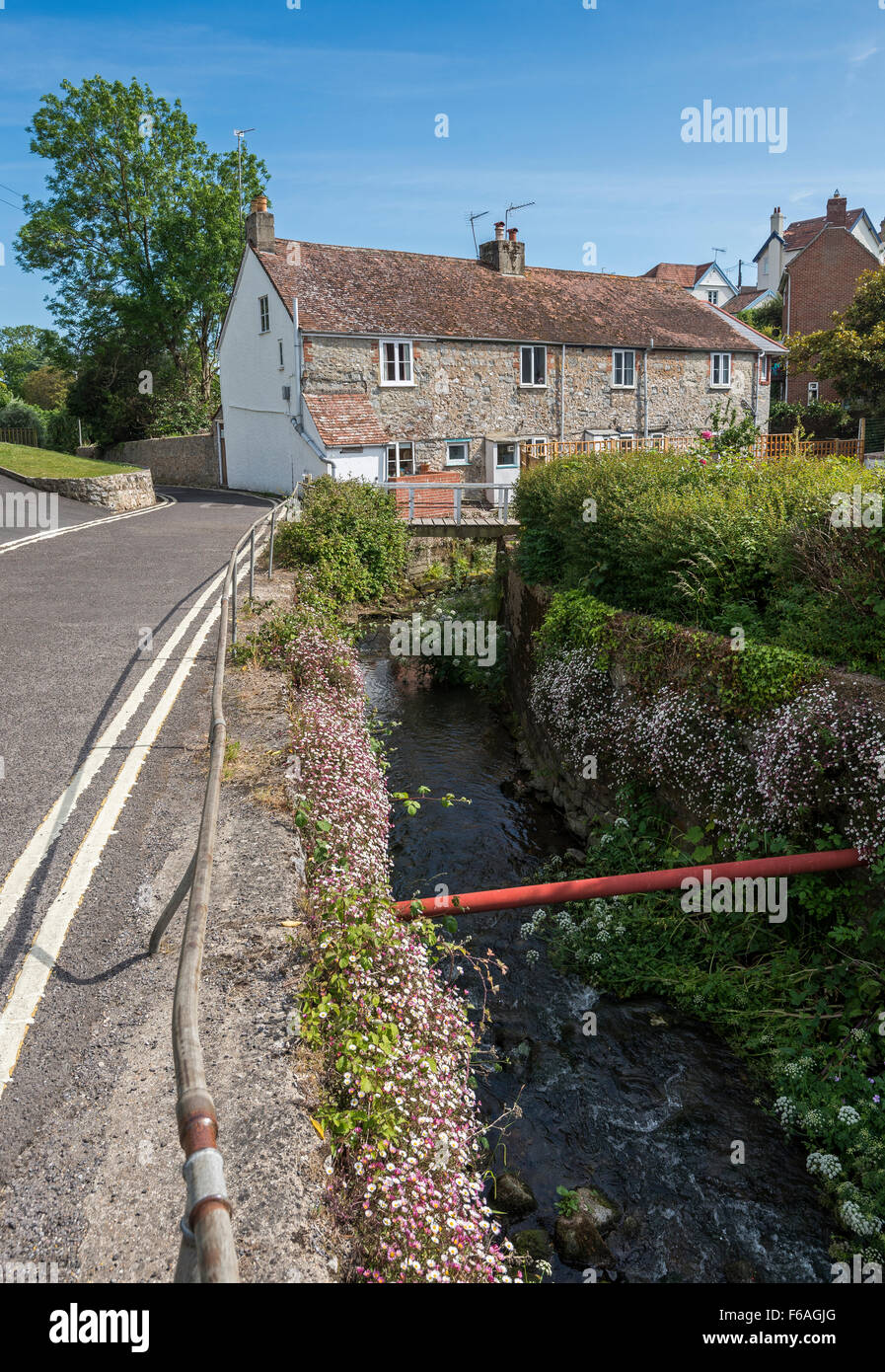 Maisons de style chalet traditionnel le long de la rivière à Lyme Regis, dans le Dorset, Angleterre, RU Banque D'Images