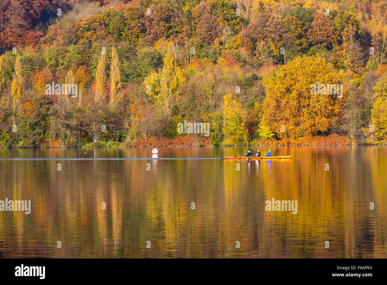 Le lac Baldeneysee, à Essen, Allemagne, automne, arbres en automne les couleurs, châtelet de mine de charbon ancien Carl Funke, rivière Ruhr Banque D'Images