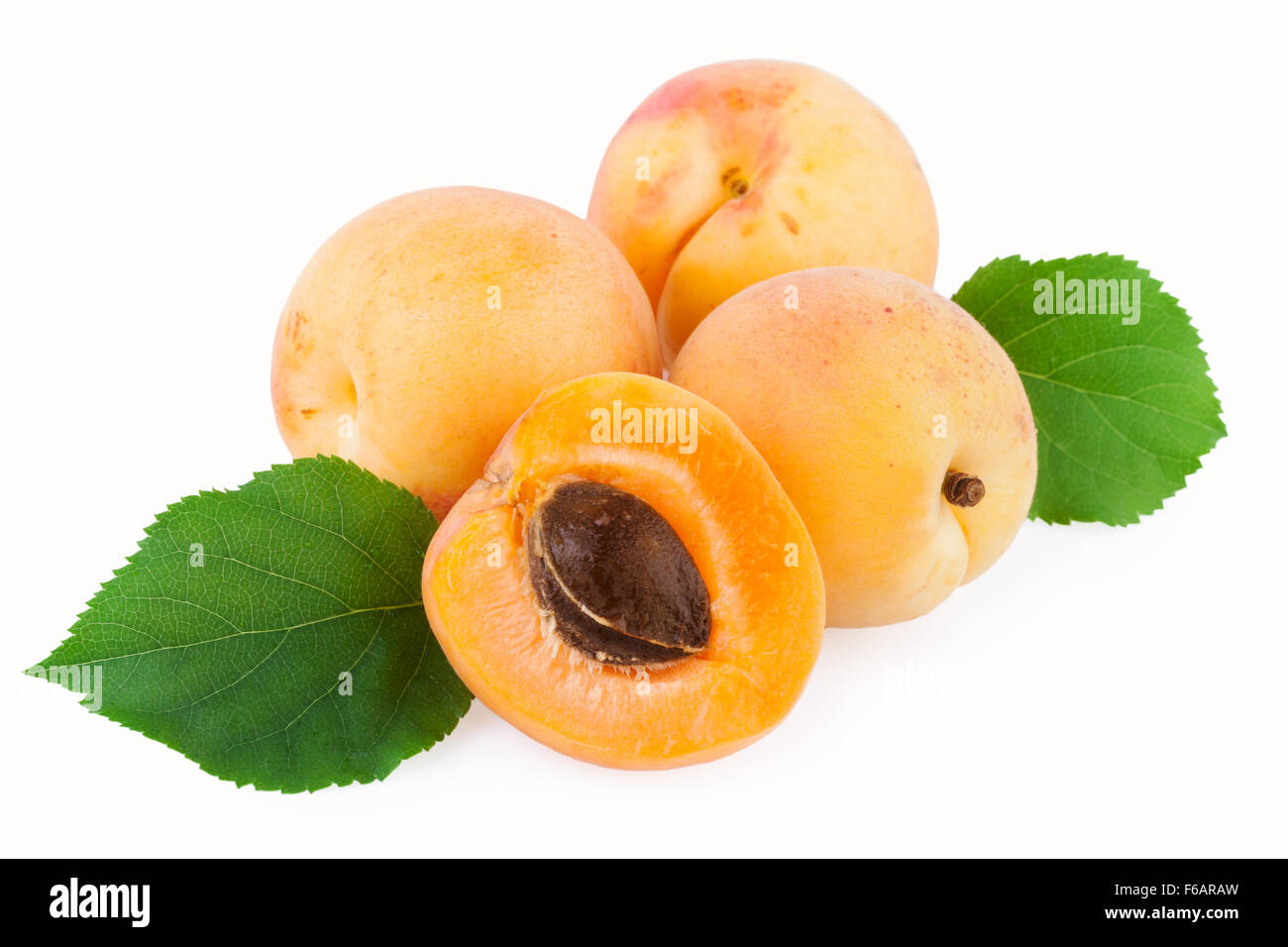 Fruits abricot vert feuille isolated on White Banque D'Images