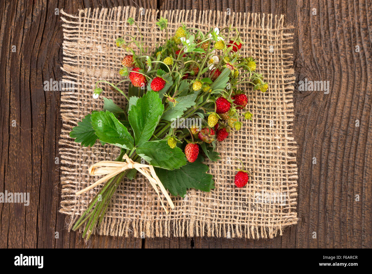 Fraise sauvage Vintage Background Banque D'Images
