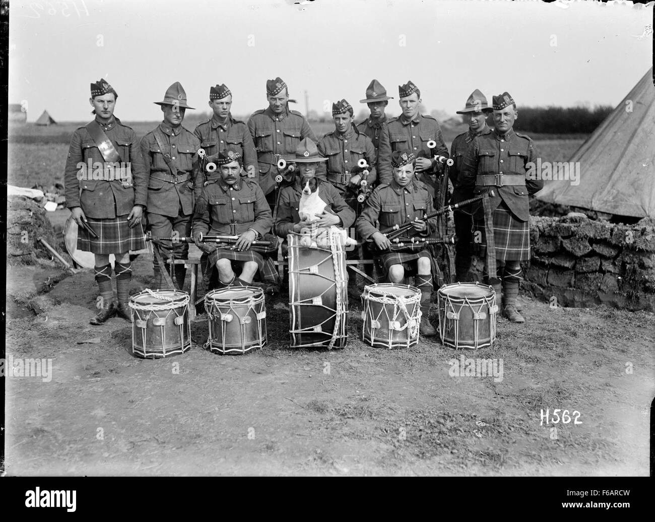 Le orchestre régimentaire d'Auckland, accompagné de leur mascotte canine, se produit en France. Cet événement met en valeur l'héritage militaire du groupe et le rôle de leur mascotte dans les devoirs cérémoniels. Banque D'Images