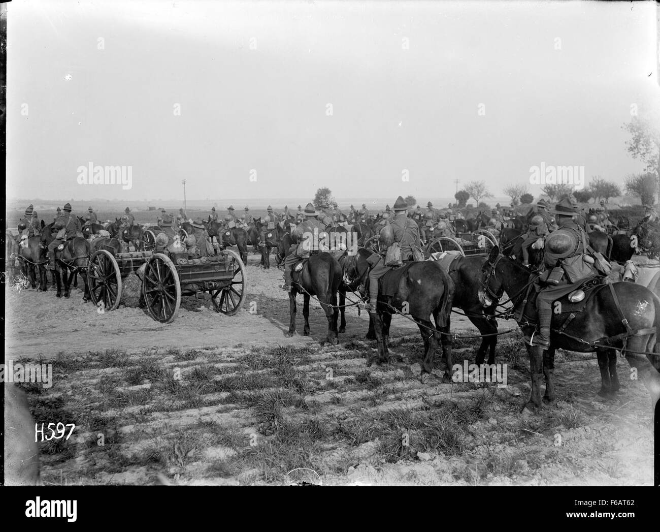 Transport d'artillerie en attente d'inspection, Bus-les-Artois Banque D'Images