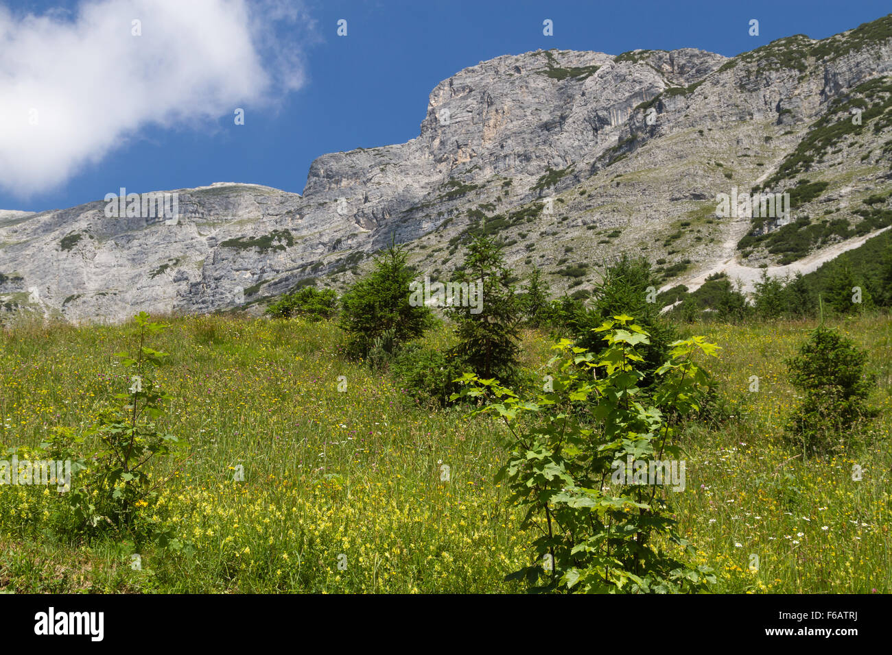 Paysage alpin avec vue sur la Montagne de la tête des chiens. L'Autriche, Tirol Banque D'Images