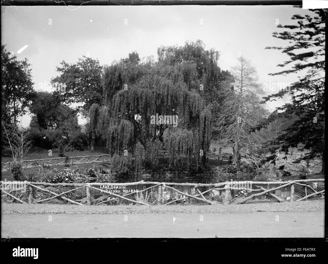 L’étang ornemental d’Auckland Domain, situé à Auckland, en Nouvelle-Zélande, offre une vue entourée d’une végétation luxuriante et fait partie d’un grand parc public. Banque D'Images