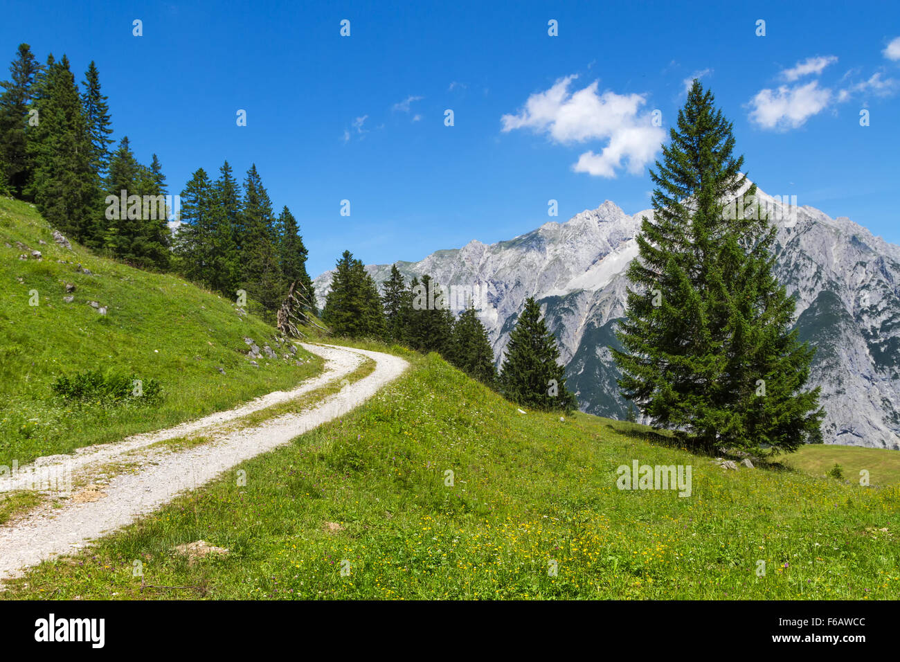 Chemin à travers des paysages de montagne. L'Autriche. Tirol, près de l'Walderalm. Banque D'Images