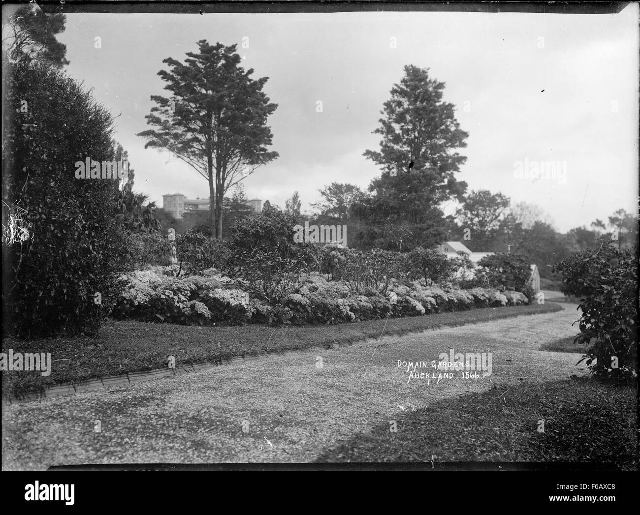 Cette photographie présente les jardins luxuriants et pittoresques du domaine d’Auckland, l’un des parcs publics les plus emblématiques de Nouvelle-Zélande. Les jardins, qui font partie du complexe du musée du mémorial de guerre d'Auckland, mettent en valeur la beauté naturelle et la riche histoire de la région. Banque D'Images