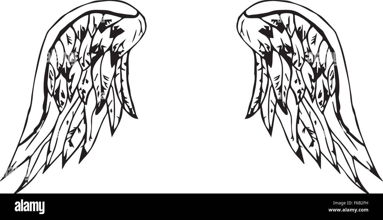 Ailes noires Banque d