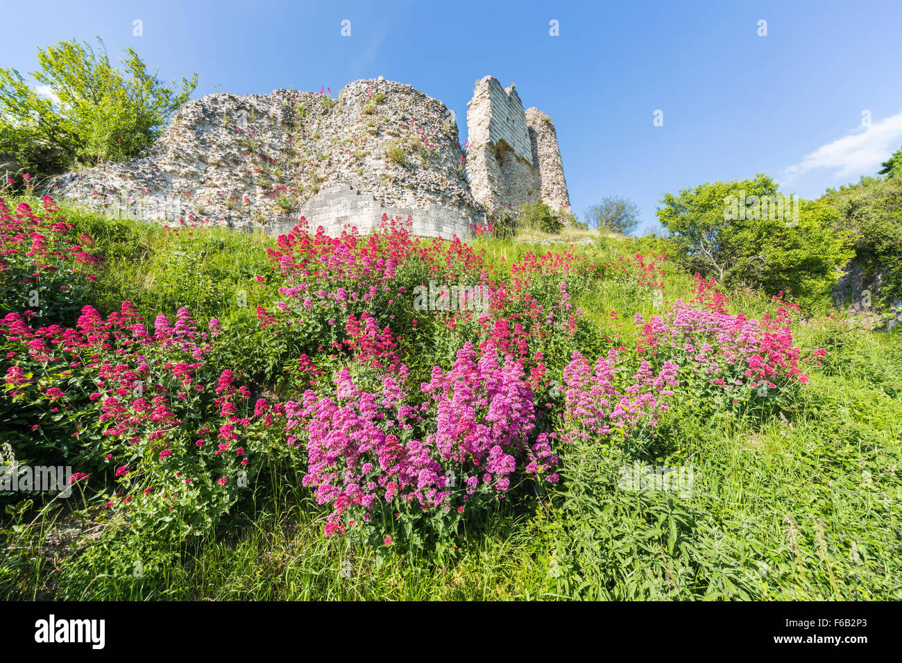 Château Gaillard, les ruines d'un château médiéval construit par le roi Richard I, Les Andelys, une petite ville de Normandie, du nord de la France Banque D'Images