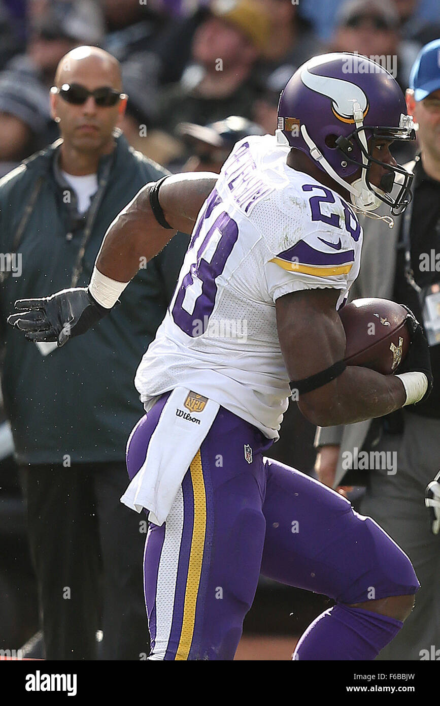 Oakland, CA. 15 Nov, 2015. Minnesota Vikings running back Adrian Petersen au cours de l'action dans un match de la NFL avec les Oakland Raiders chez O.co Coliseum à Oakland, CA. Les Vikings ont gagné 30-14. Credit : csm/Alamy Live News Banque D'Images