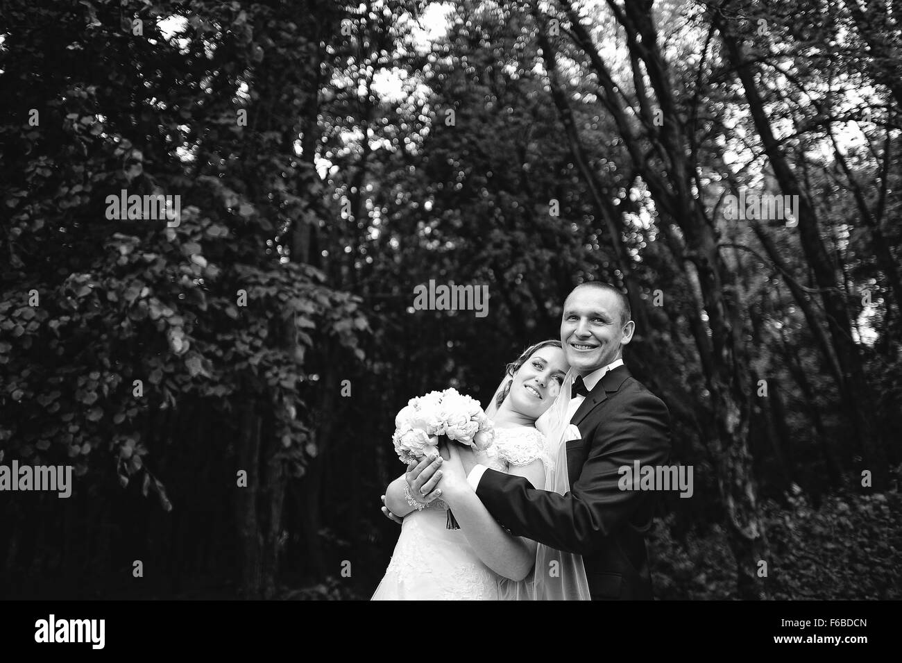 Wedding couple embrasser dans le parc Banque D'Images