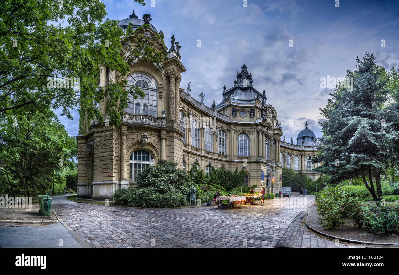 Le château de Vajdahunyad, Budapest, Hongrie, Europe Banque D'Images