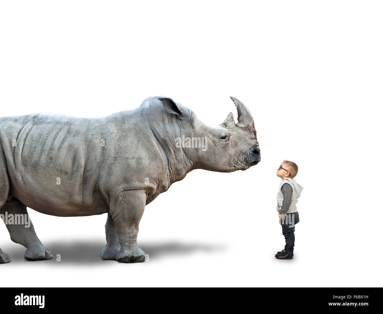 Petit enfant et d'énormes rhino sur white Banque D'Images