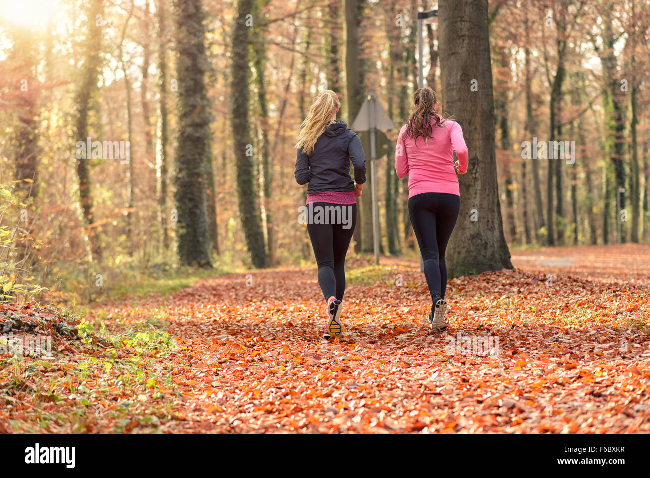 Vue arrière des deux fit young woman jogging ensemble à travers une forêt d'automne dans un concept de vie active saine Banque D'Images