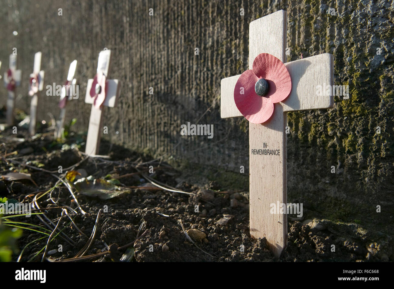 Un petit monument en un village local en l'honneur des hommes qui ont perdu la vie au cours de la grande guerre, montrant les coquelicots et les croix, symboles de la mémoire de ceux qui ont été laissés behid y compris les épouses et les familles. Banque D'Images