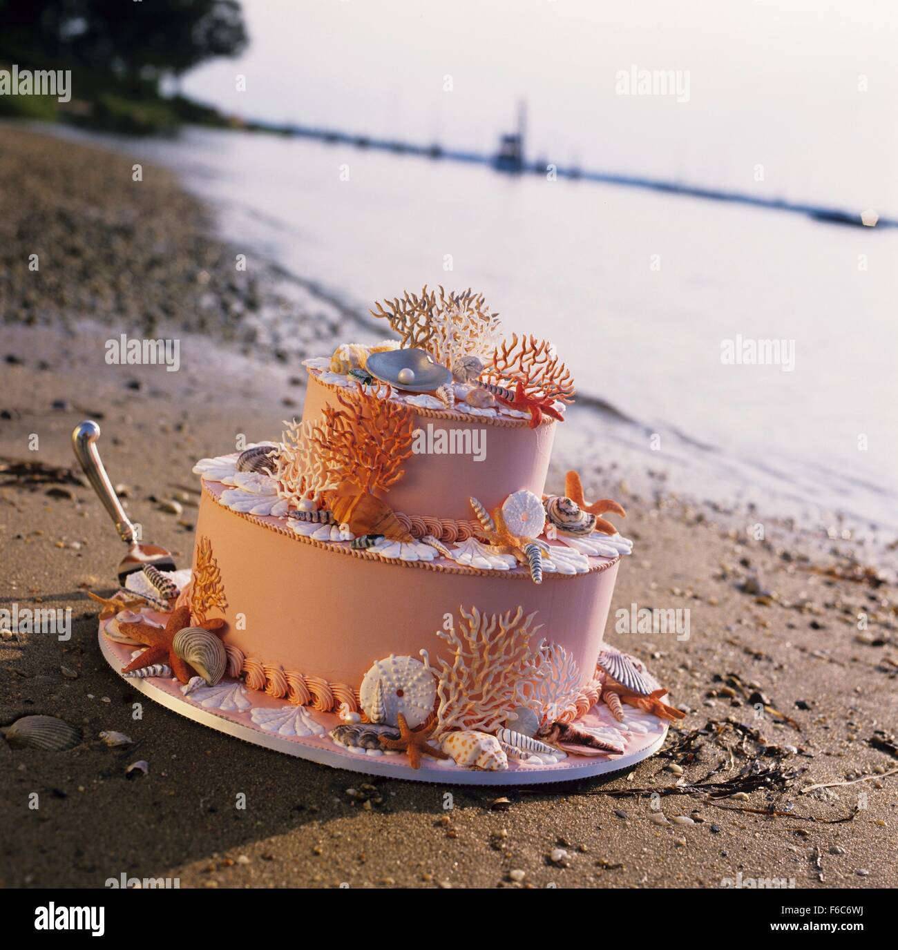 Gâteau de mariage sur le thème de plage sur le sable au bord de l'eau Banque D'Images